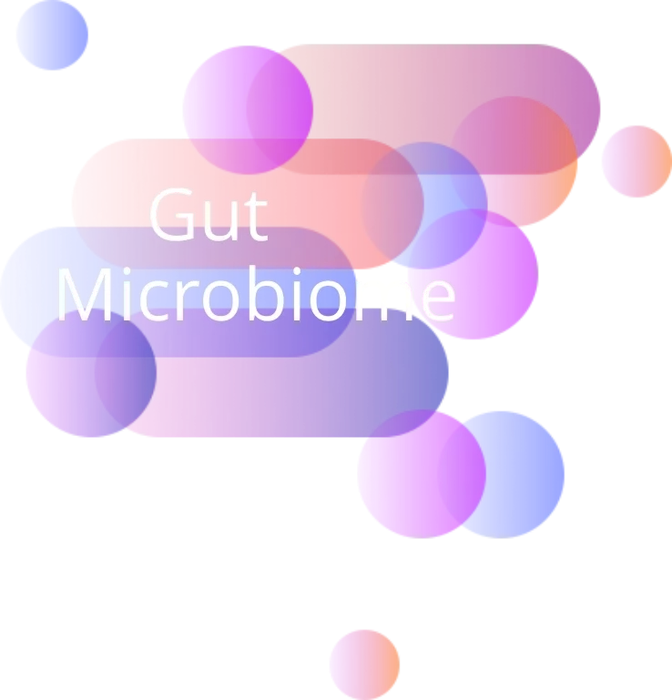 Gut Microbiome Test